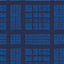 Blue Checker
